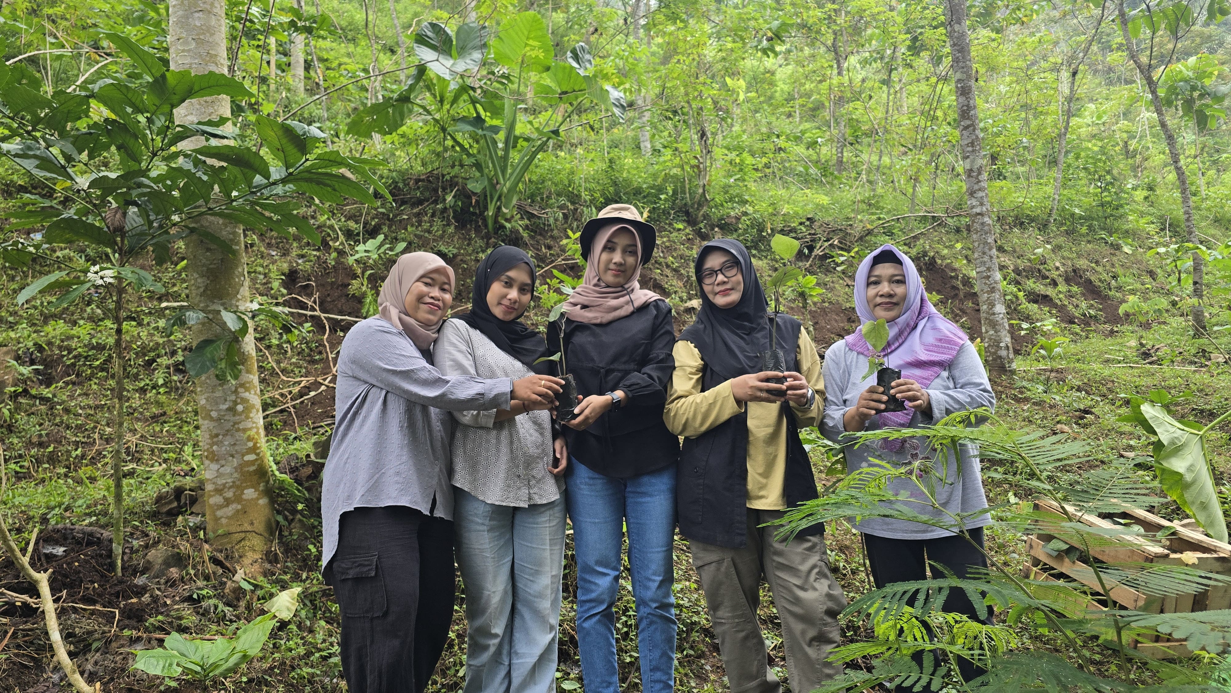 Penanaman Bibit Pohon Kemukus di Desa Banjarsari, Dorong Potensi Ekonomi Hijau