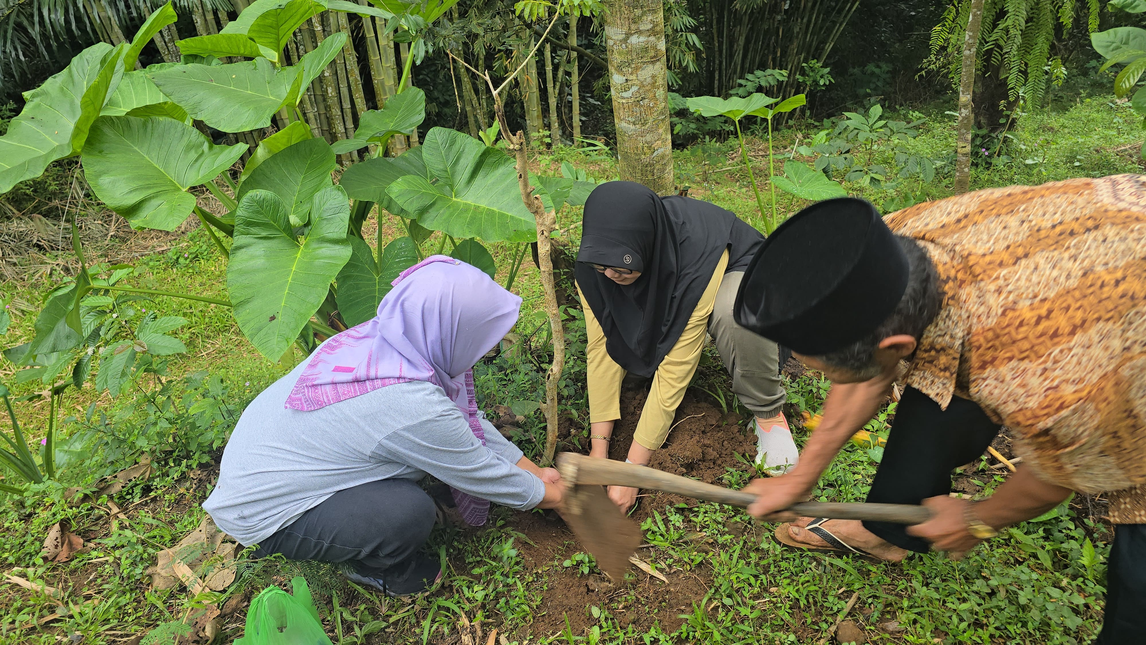 Penanaman Bibit Kemukus 29 Agustus 2025